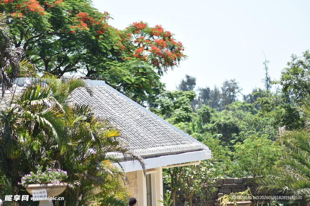 林间小屋 隐于葱郁自然中