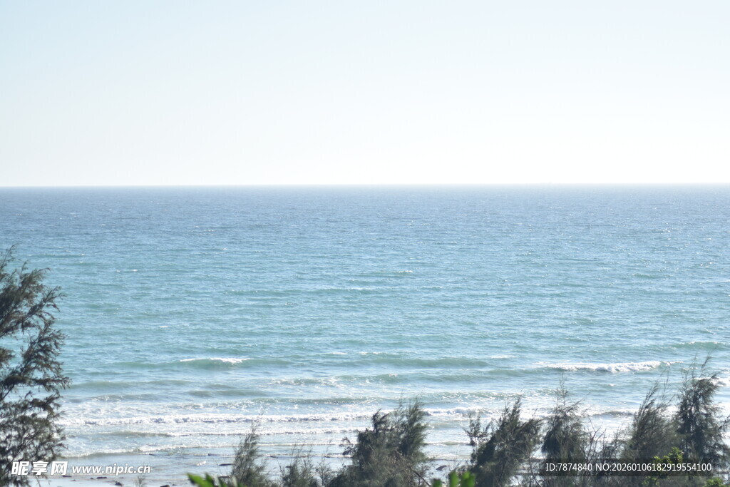 海边景致 绿树与碧海相映