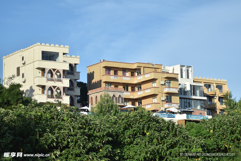 多彩楼房隐于绿树间