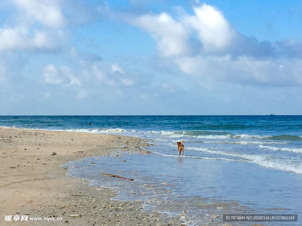 海边漫步的惬意时刻