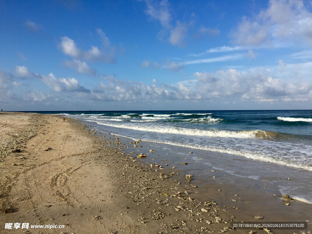 美丽海滨沙滩与海浪景色