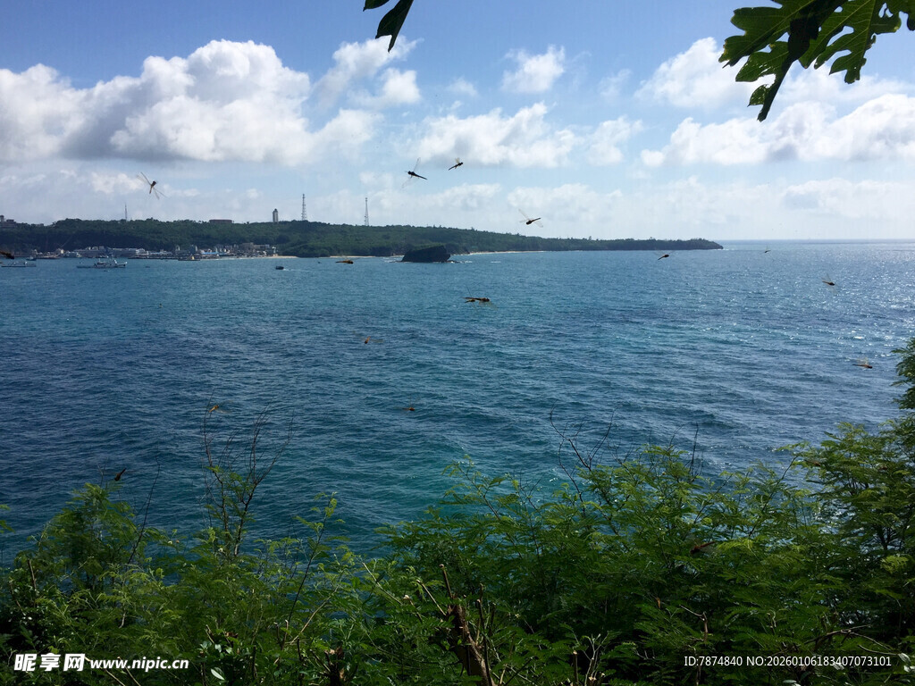 俯瞰碧海蓝天绿树美景