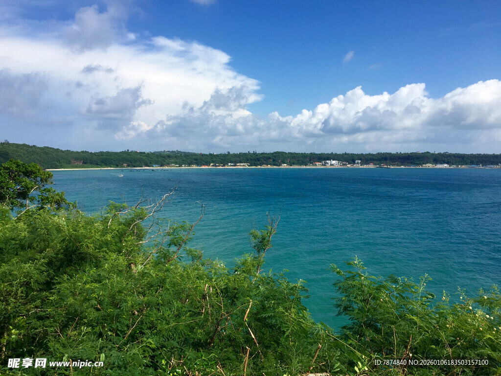 海边葱郁植被与湛蓝海景