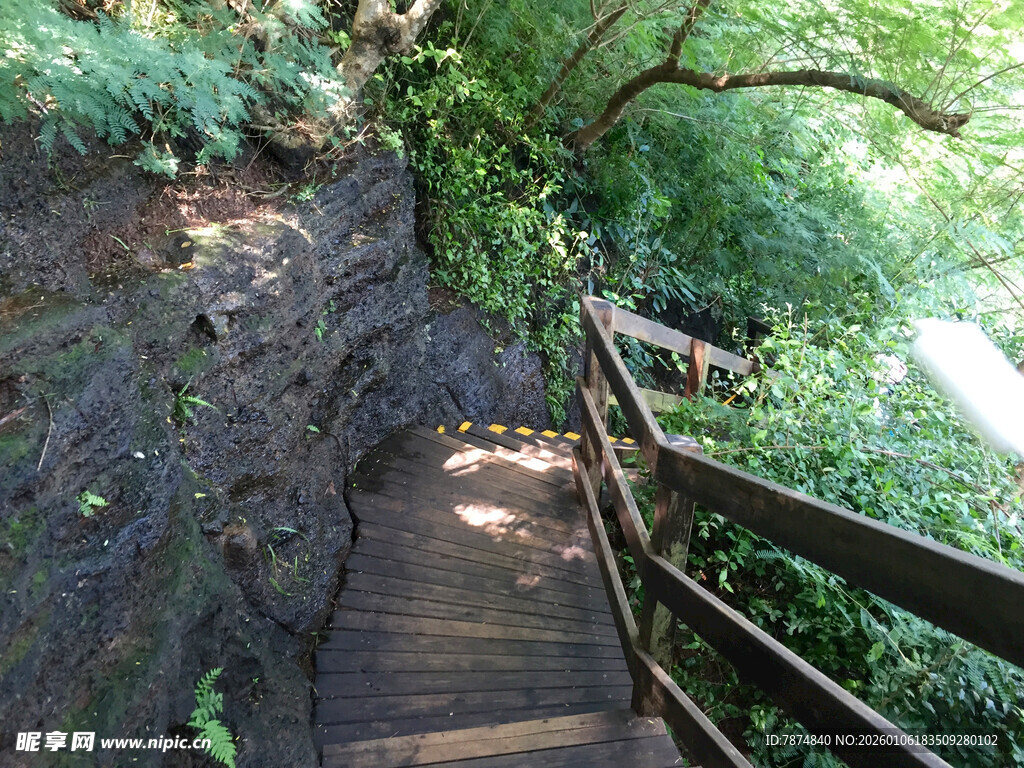 林间木栈道的静谧景致