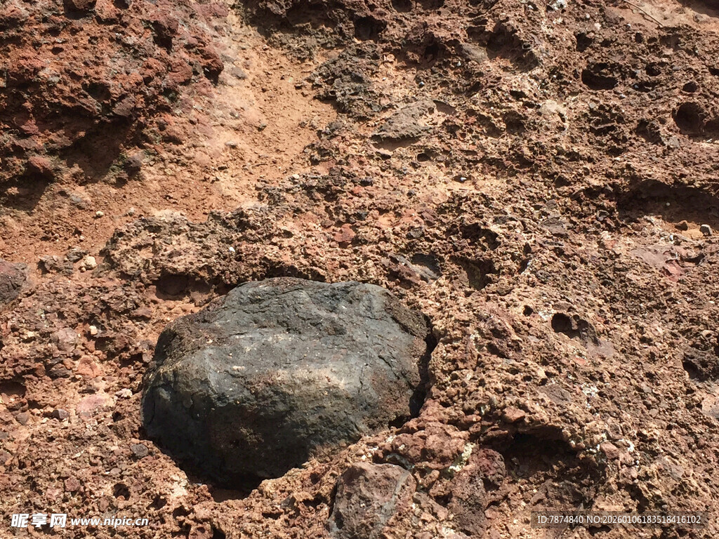 泥土中的黑色圆形物体