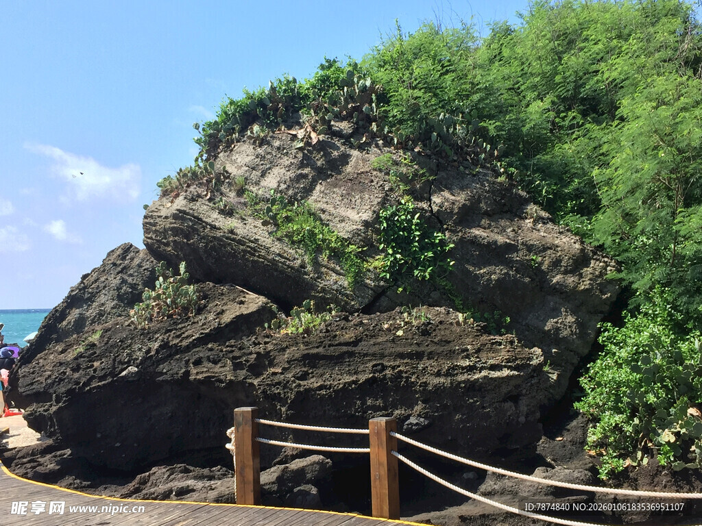 海边嶙峋岩石与葱郁植被