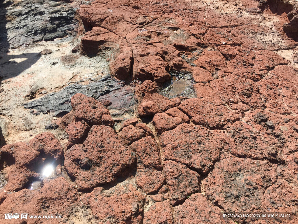 干裂的红褐色土地