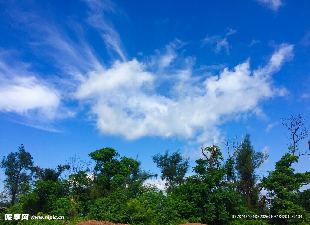 蓝天绿树间的自然美景