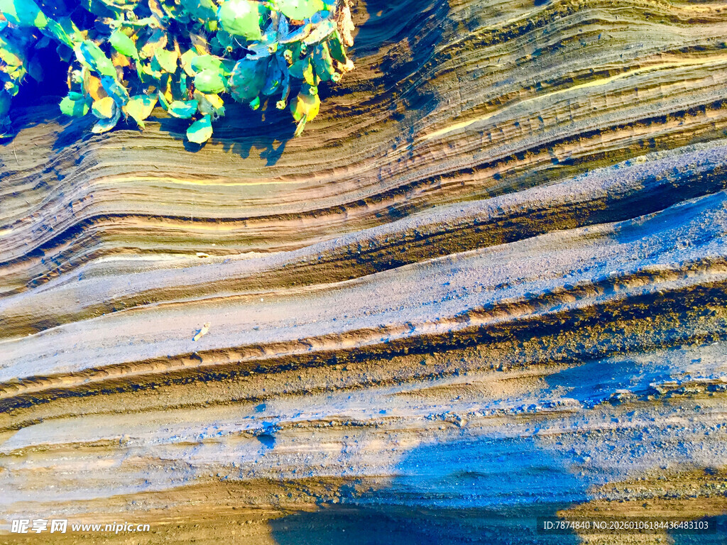 纹理独特的岩石表面