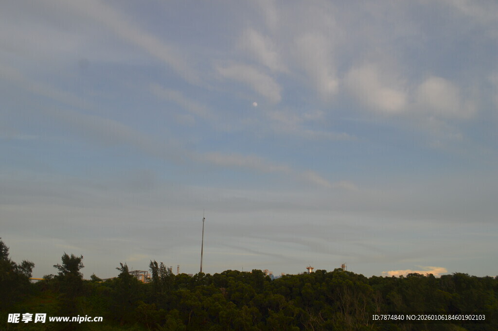 黄昏下的树林与天空