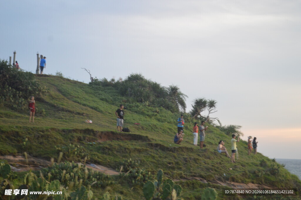 山坡上劳作的人群
