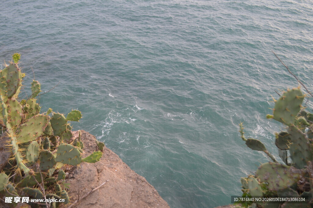 海边崖上的绿植与蔚蓝海水