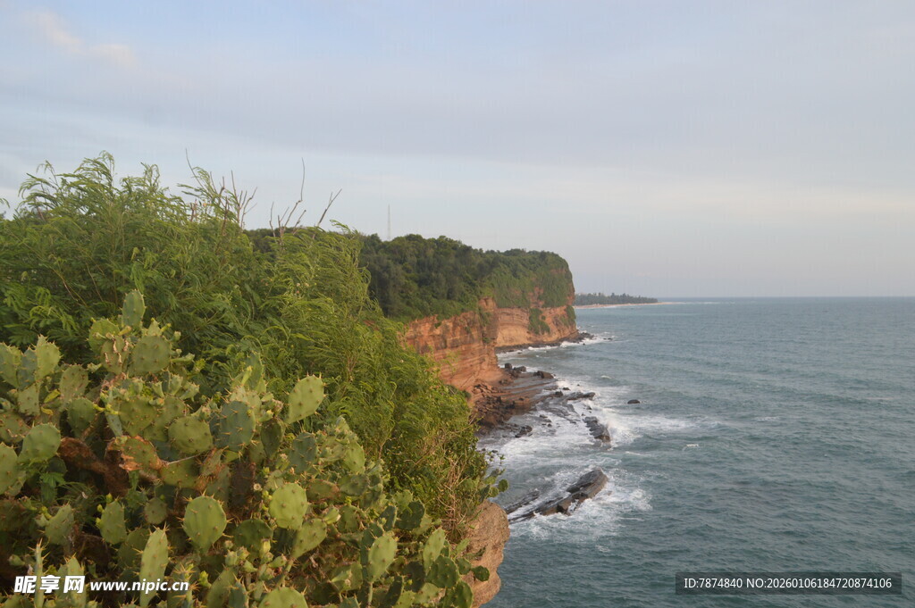 海岸边的绿植与汹涌海浪