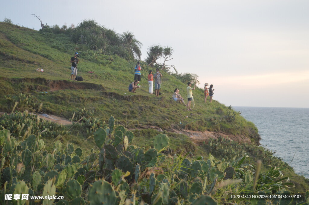 海边山坡众人漫步赏景