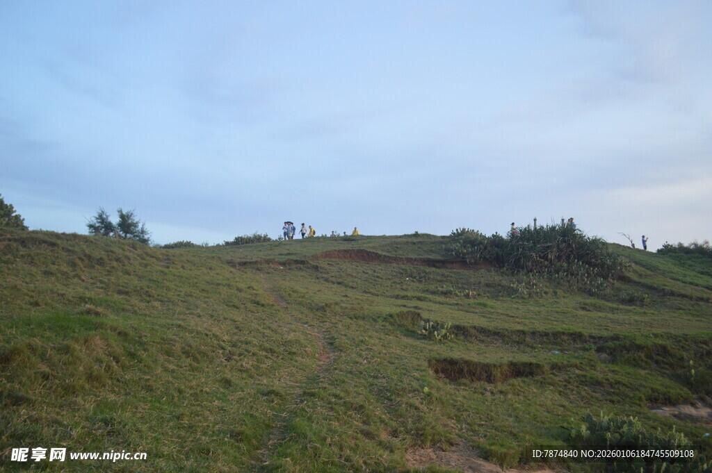 绿意盎然的开阔山坡景色