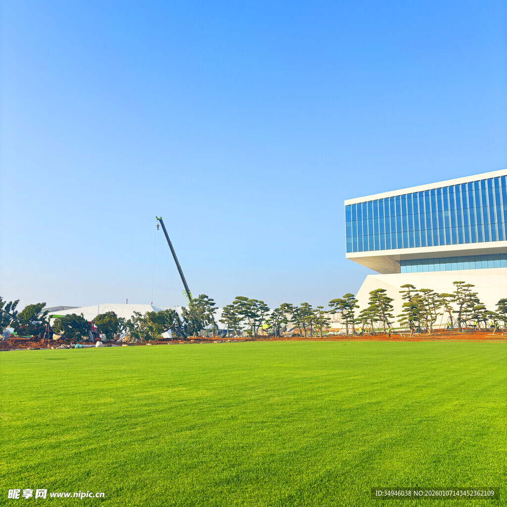 城市中的大片翠绿草坪