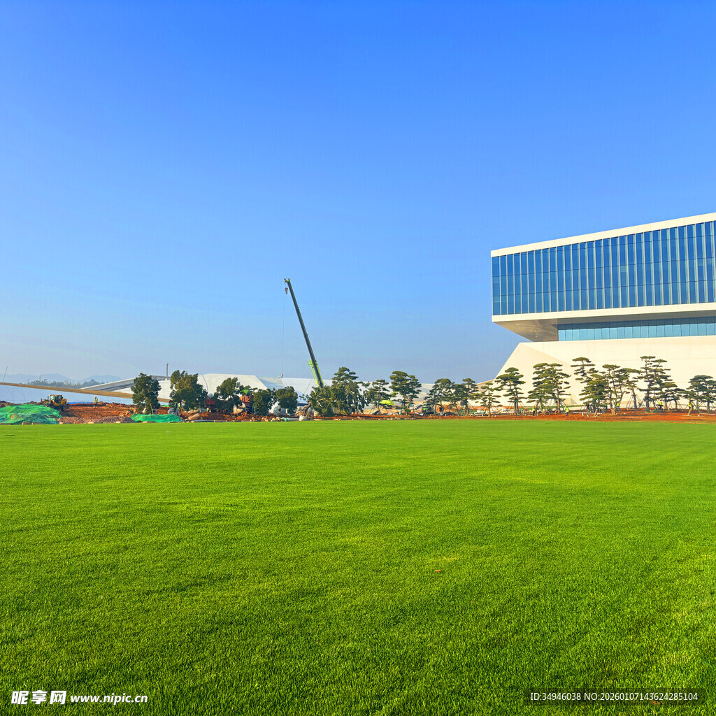 绿茵场地旁的现代建筑