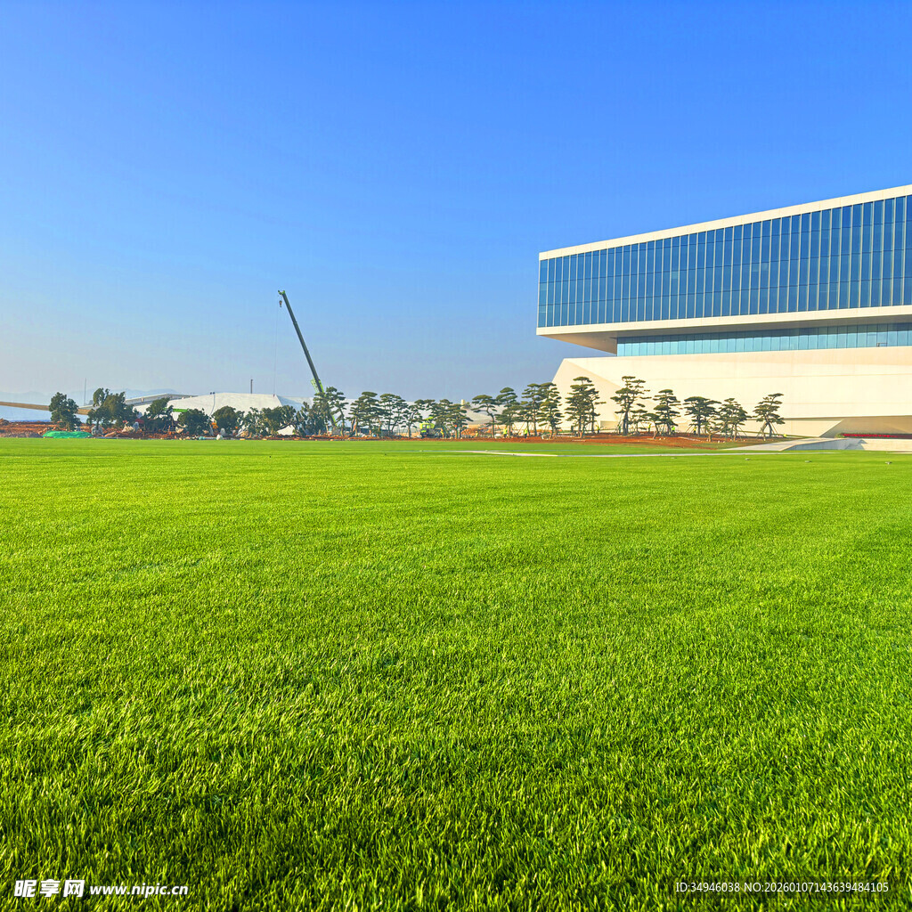 绿茵之上的现代建筑景观