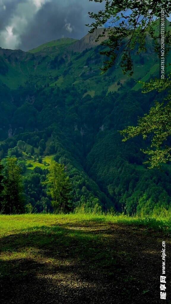 山间绿野云影徘徊