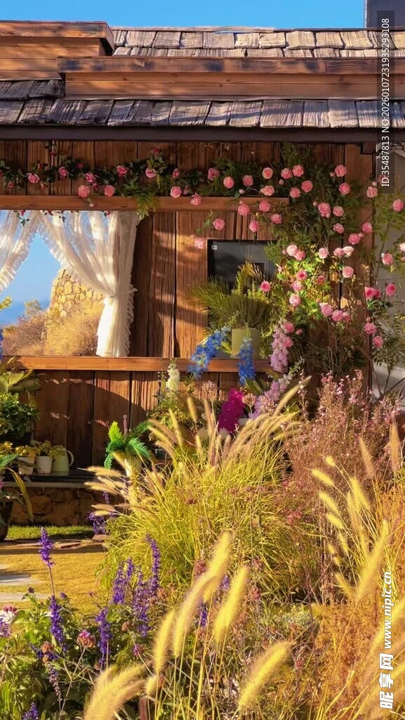 乡村小屋旁的秋日植物景观