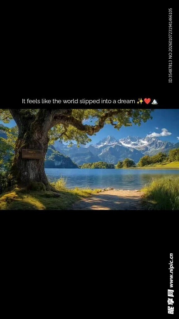 湖畔大树下的美丽自然风景