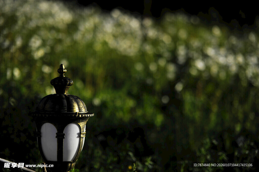 草丛中的复古风小路灯