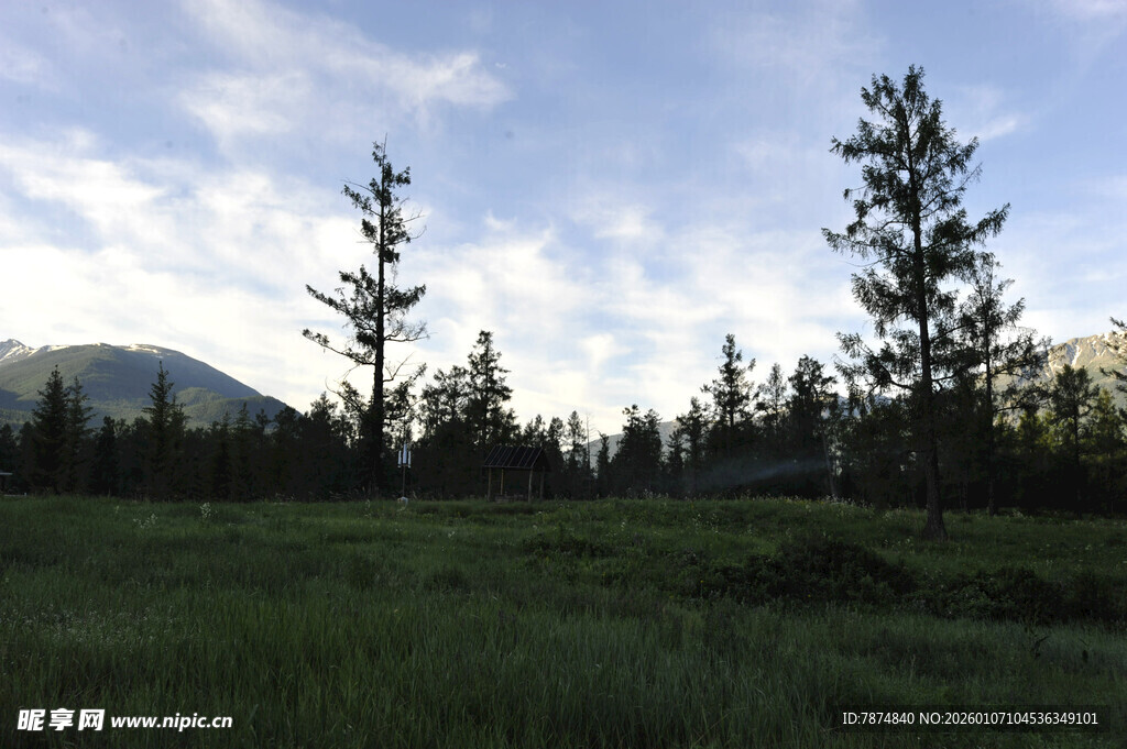 草原松林与远山美景