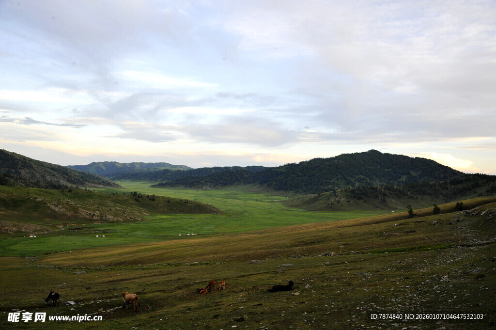 草原风光下的广阔天地