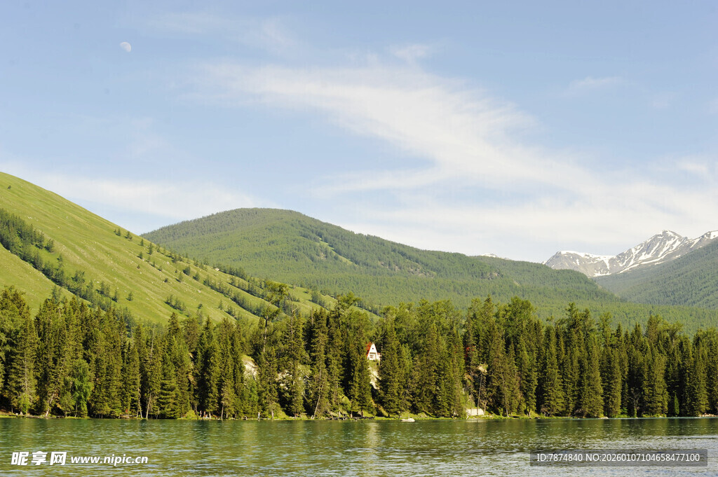青山绿水间的森林美景