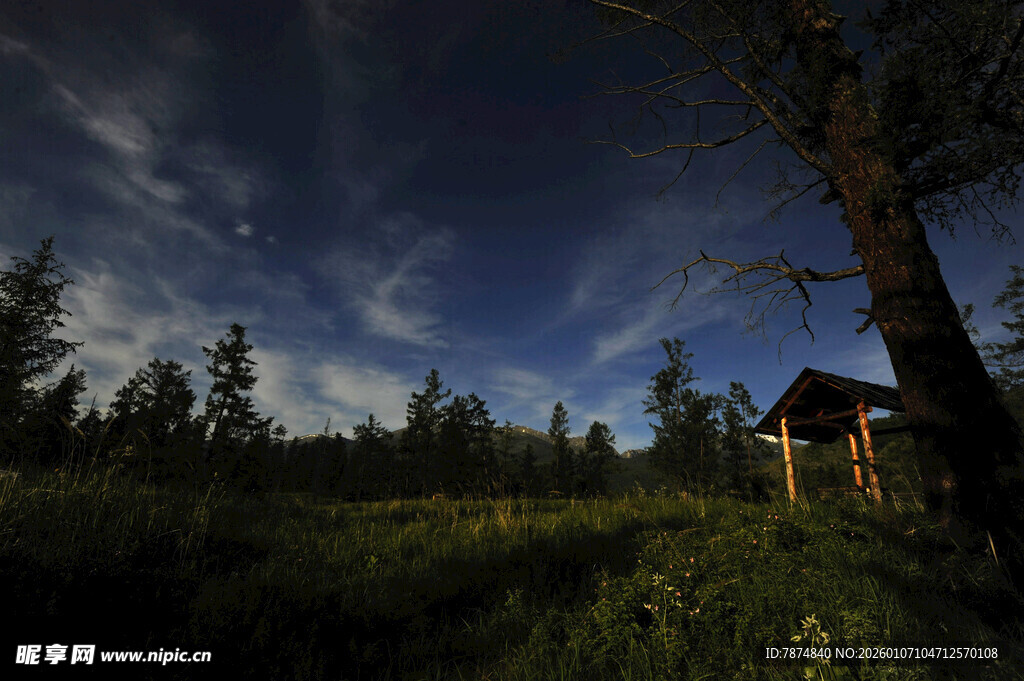 静谧夜下的林间小屋