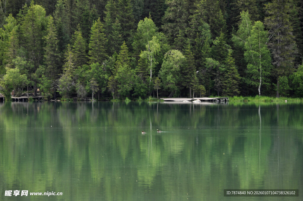 宁静湖畔森林倒影美景