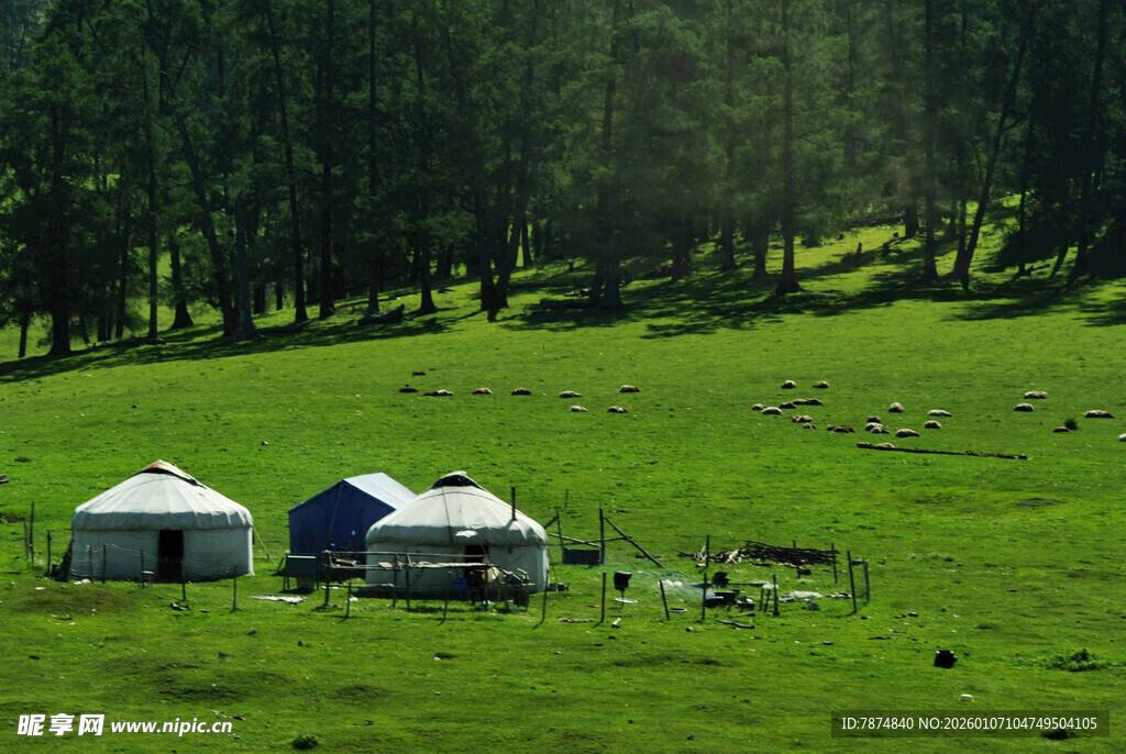 草原上的蒙古包与自然风光