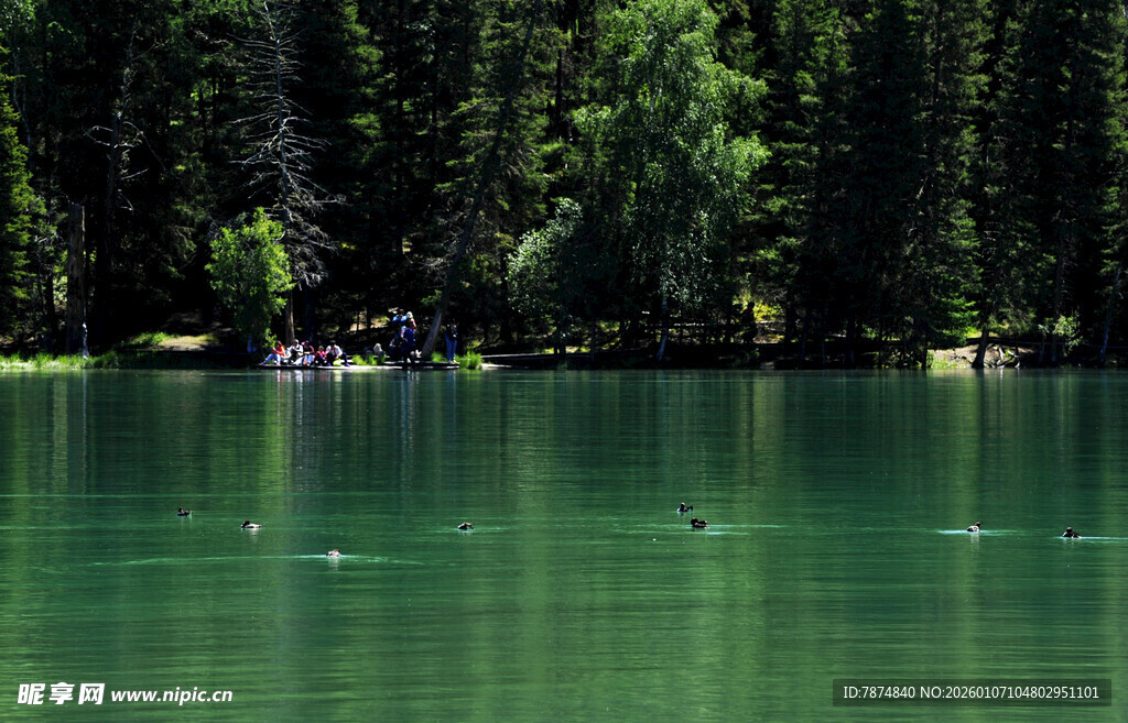 静谧湖畔的自然景致