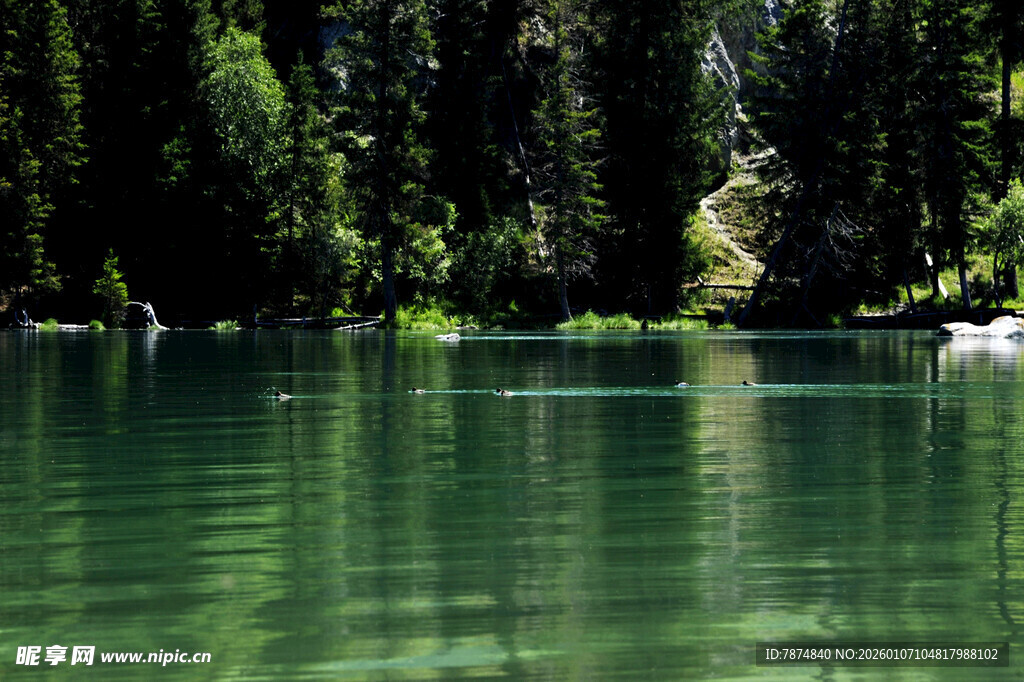 静谧翠绿湖水与岸边树林