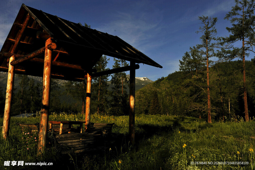 林间木亭 静谧自然之景