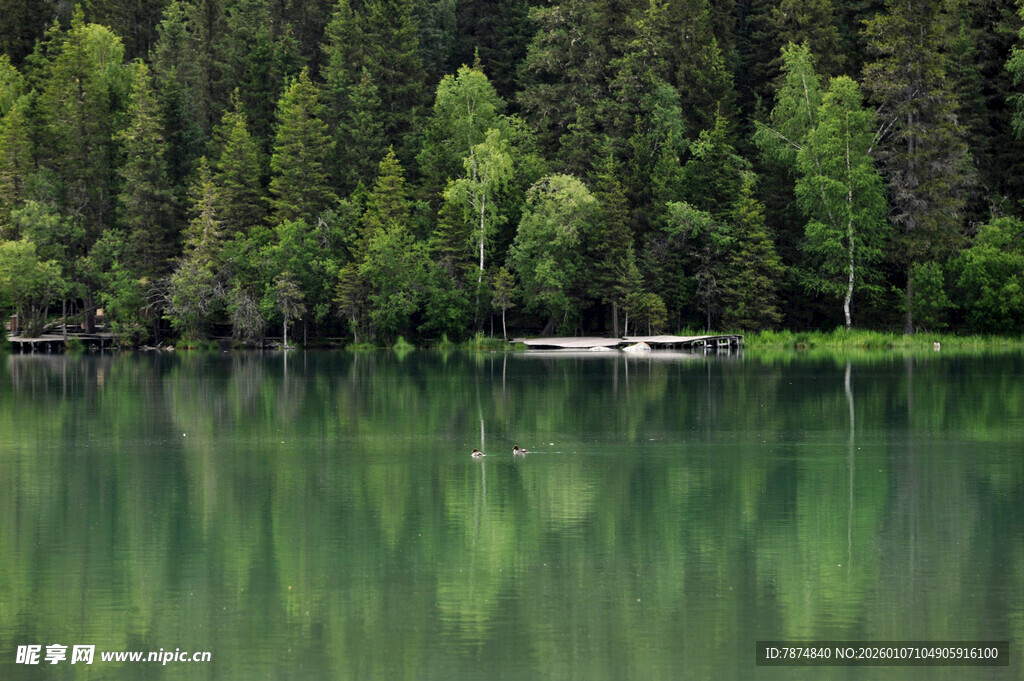 静谧湖畔森林倒影美景