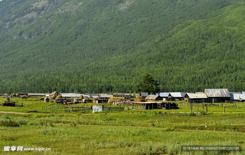 草原上的村庄与牲畜