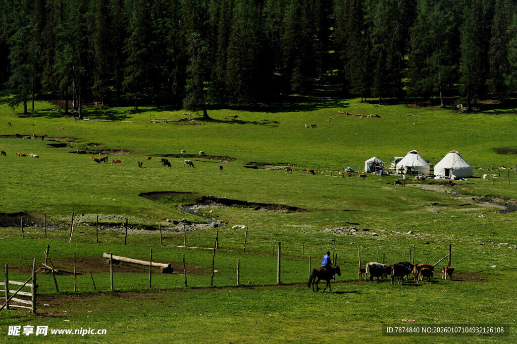 草原上的白色帐篷与风景