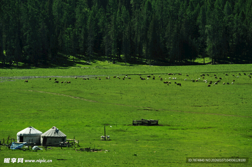 草原上的帐篷与葱郁树林