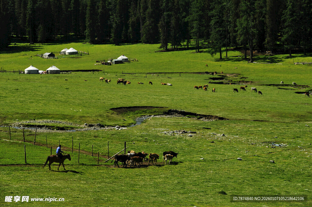 草原牧场景色
