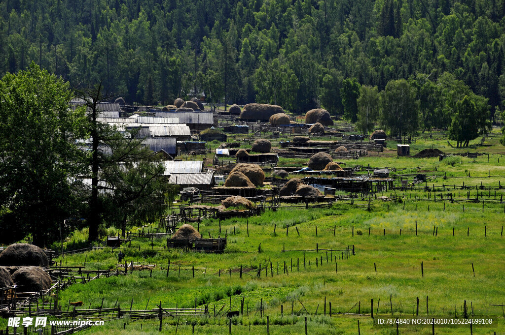 山间绿野与散落石堆景观