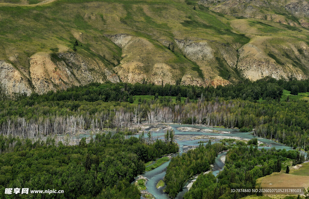 山间蜿蜒河流与葱郁植被