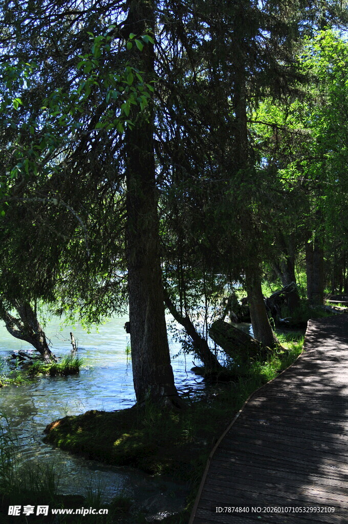 林间湖畔漫步小径美景