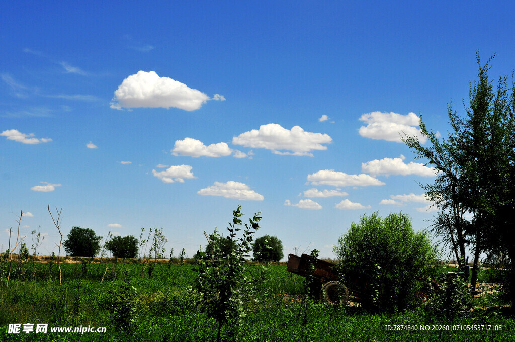 蓝天绿地间的清新田园风光