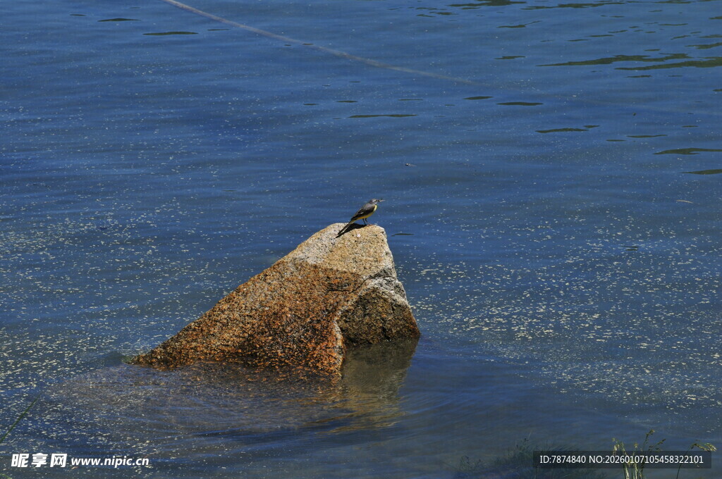 水中露出的奇特岩石