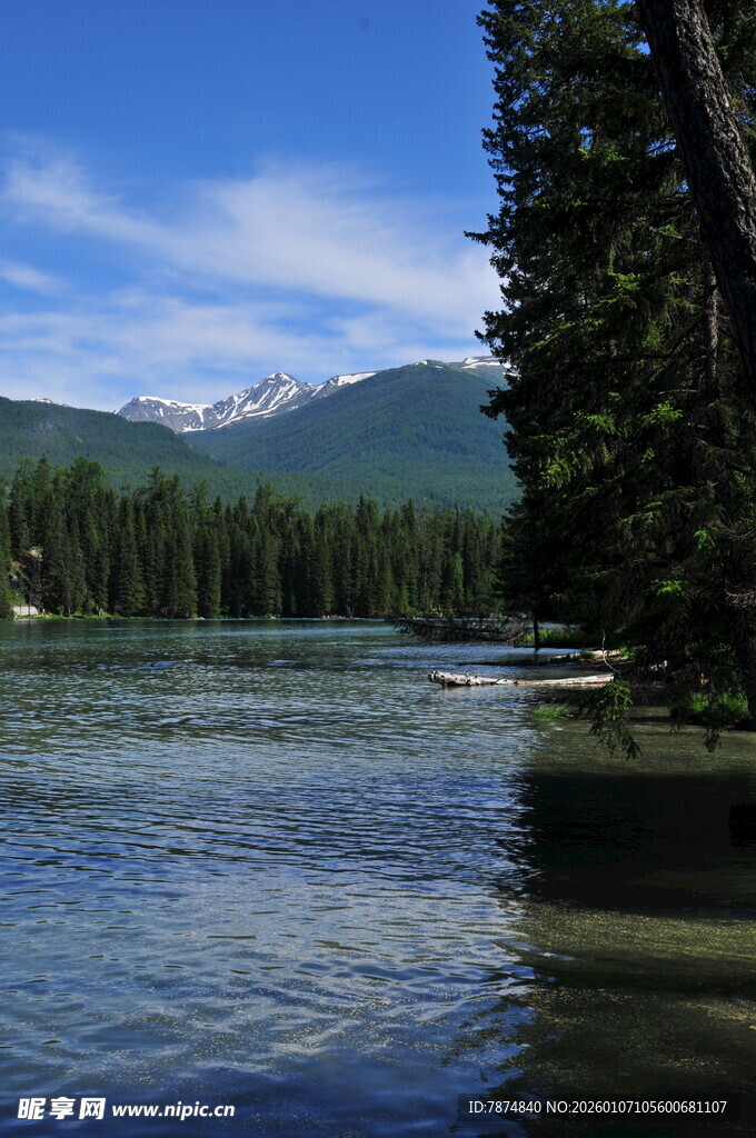 宁静河畔山林美景