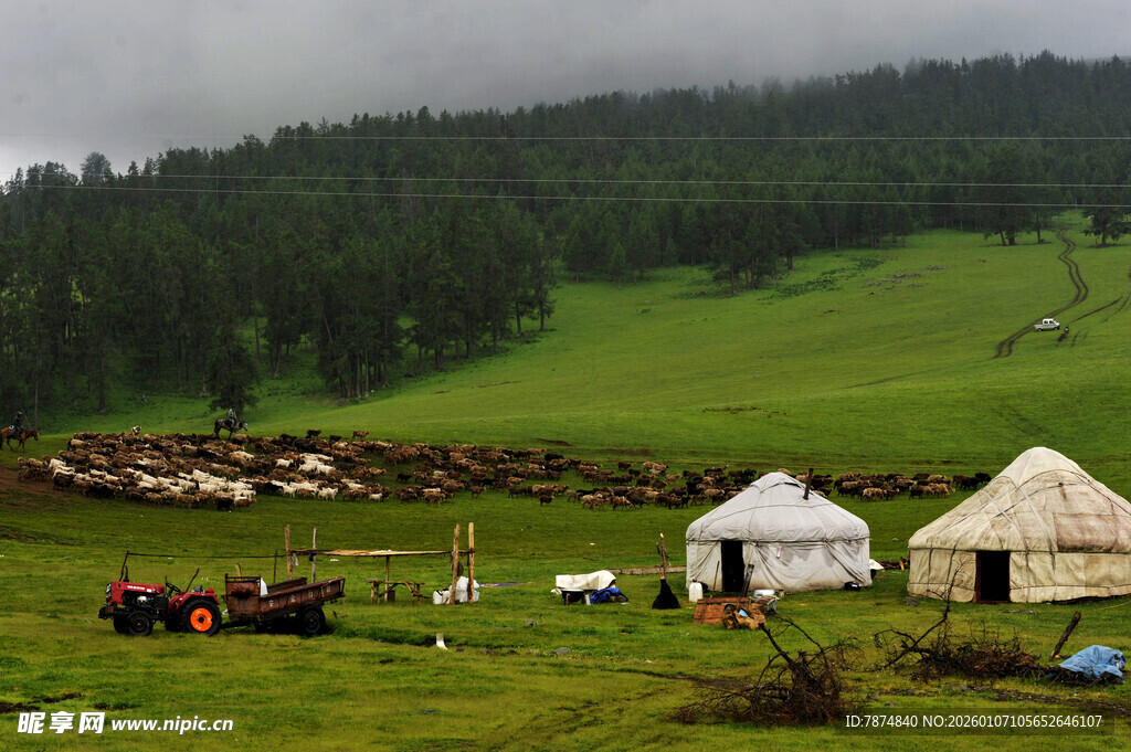 草原上的蒙古包与人群