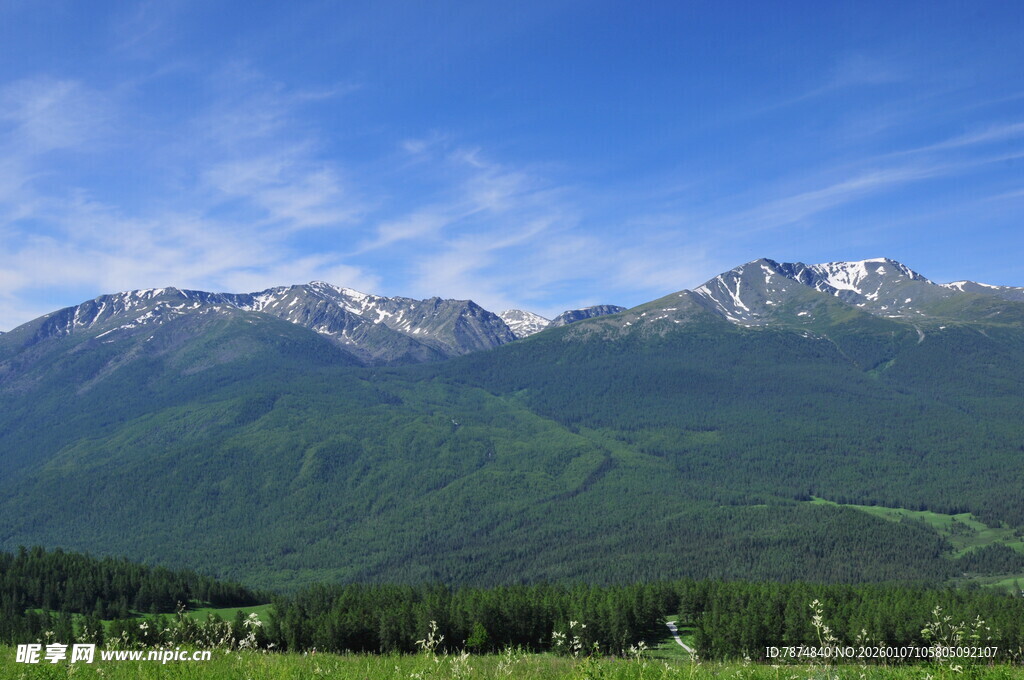 壮丽山峦与葱郁植被景观