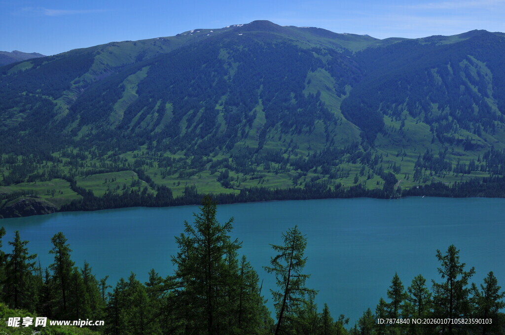 高山湖畔的翠绿森林美景