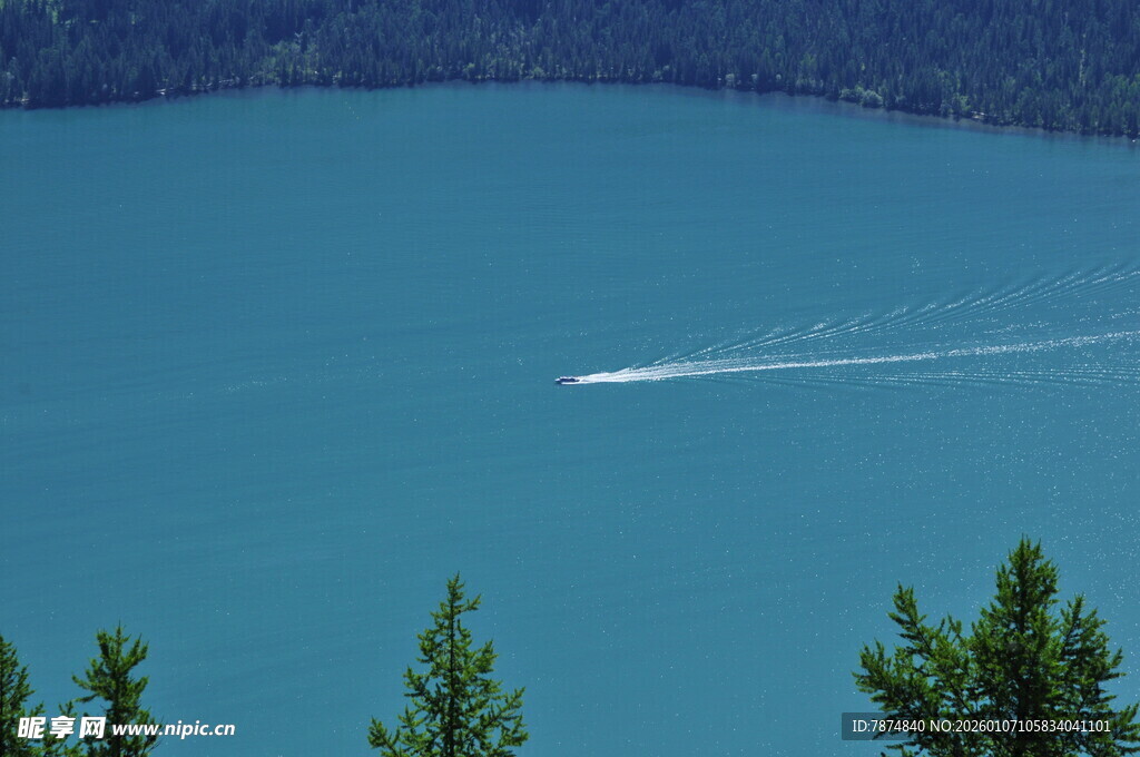 湖面上的船只与岸边绿树